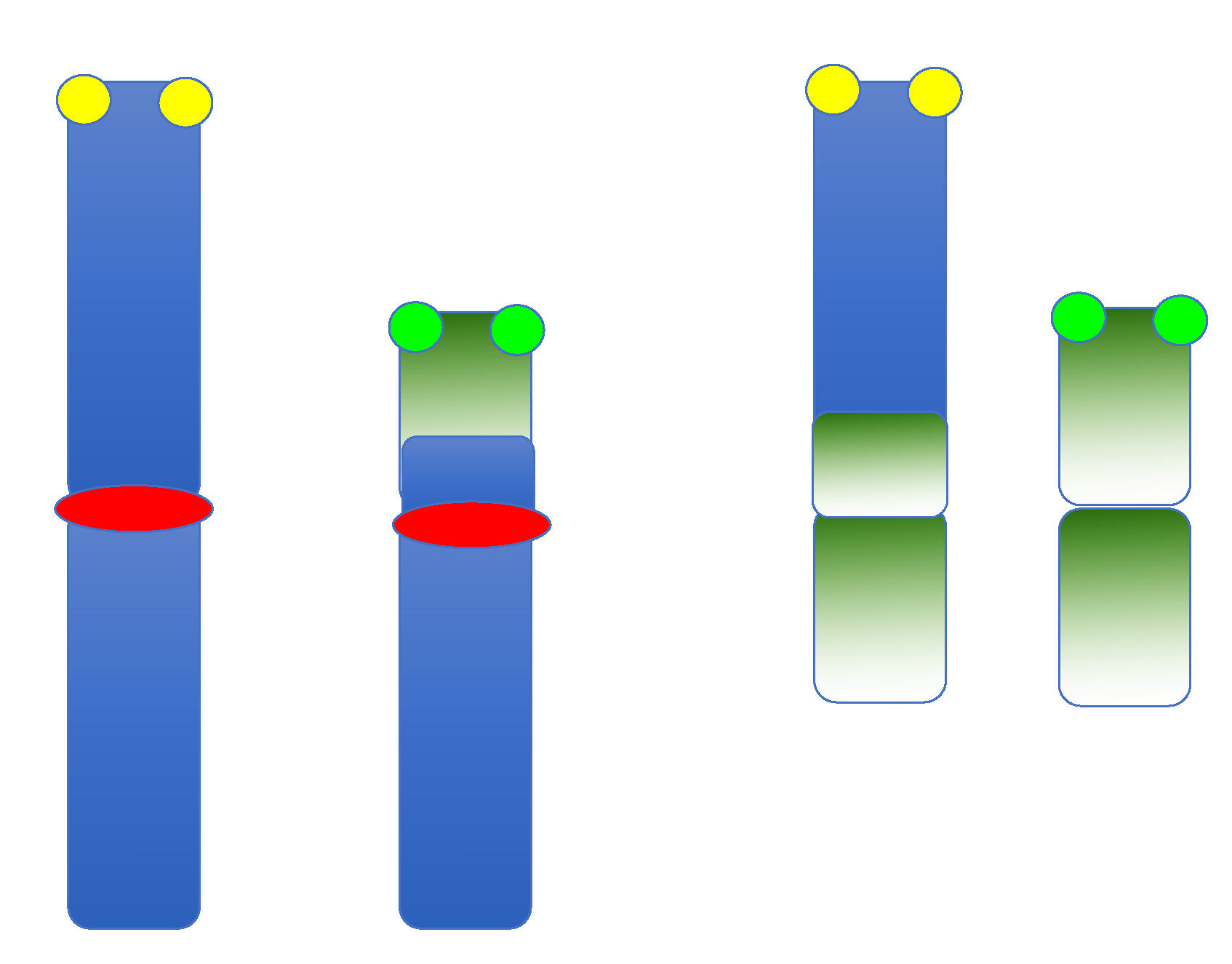 Dna 03 00004 g003