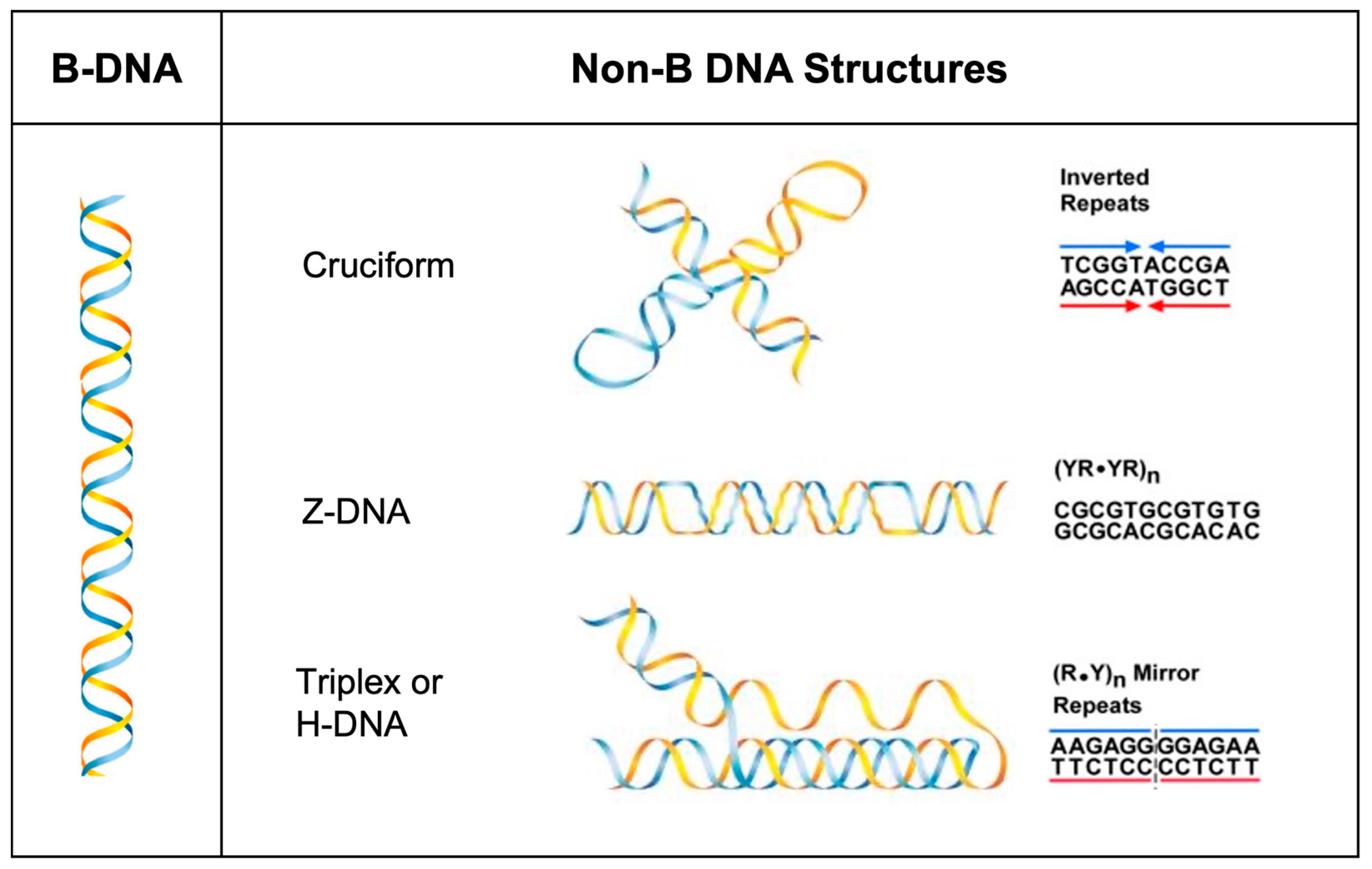 Dna 04 00008 g001