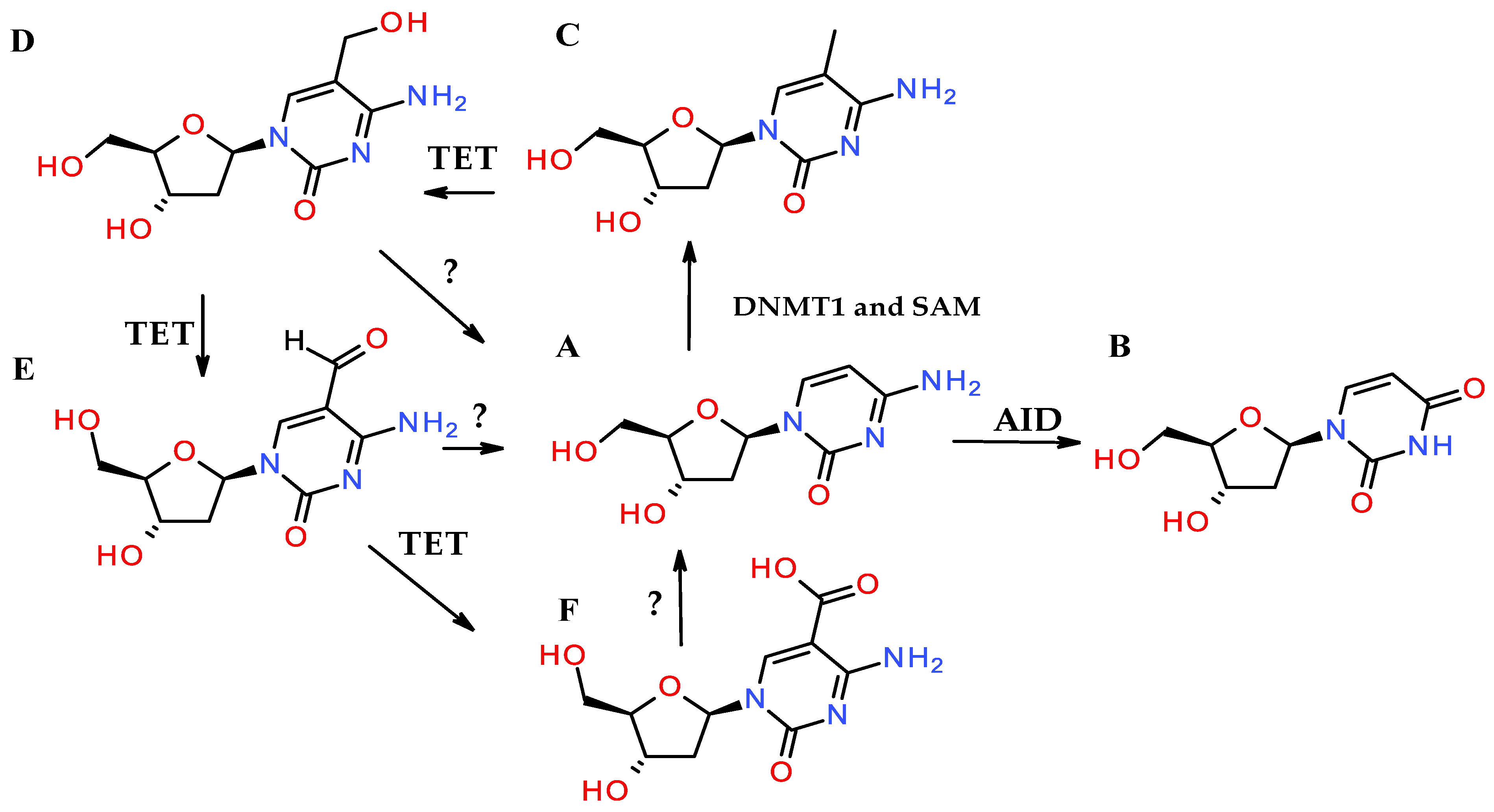Dna 05 00019 g002 Dna 05 00019 g002
