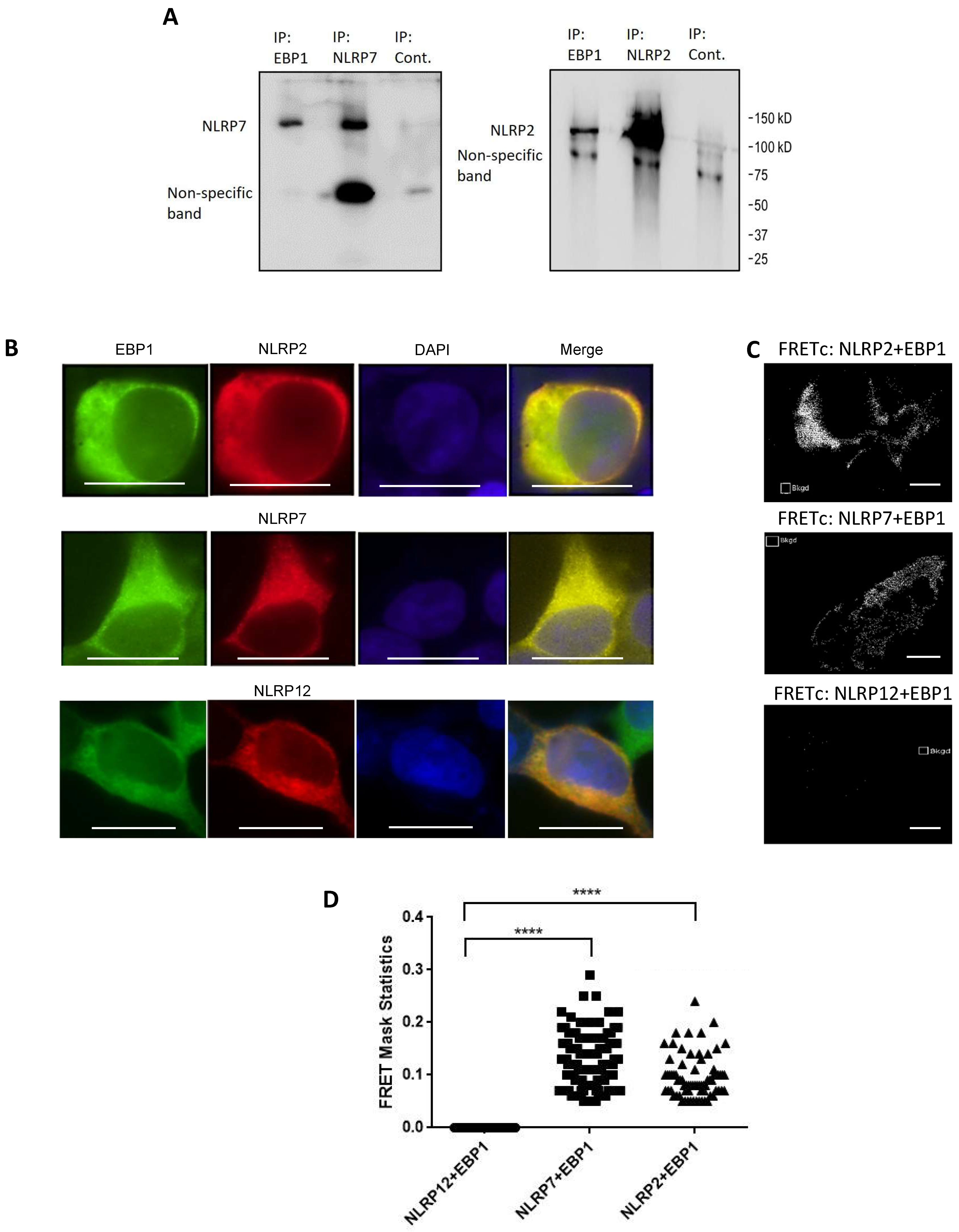 Dna 05 00049 g002 Dna 05 00049 g002