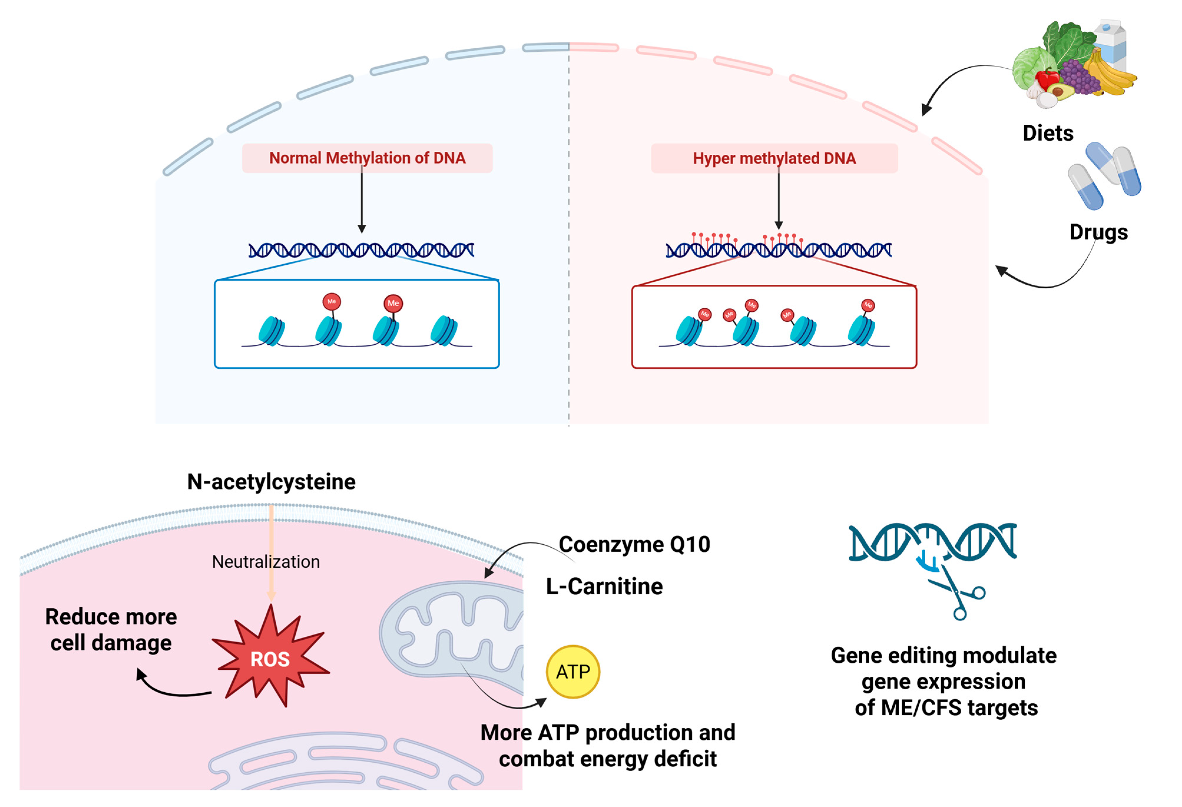Dna 05 00053 g004 Dna 05 00053 g004