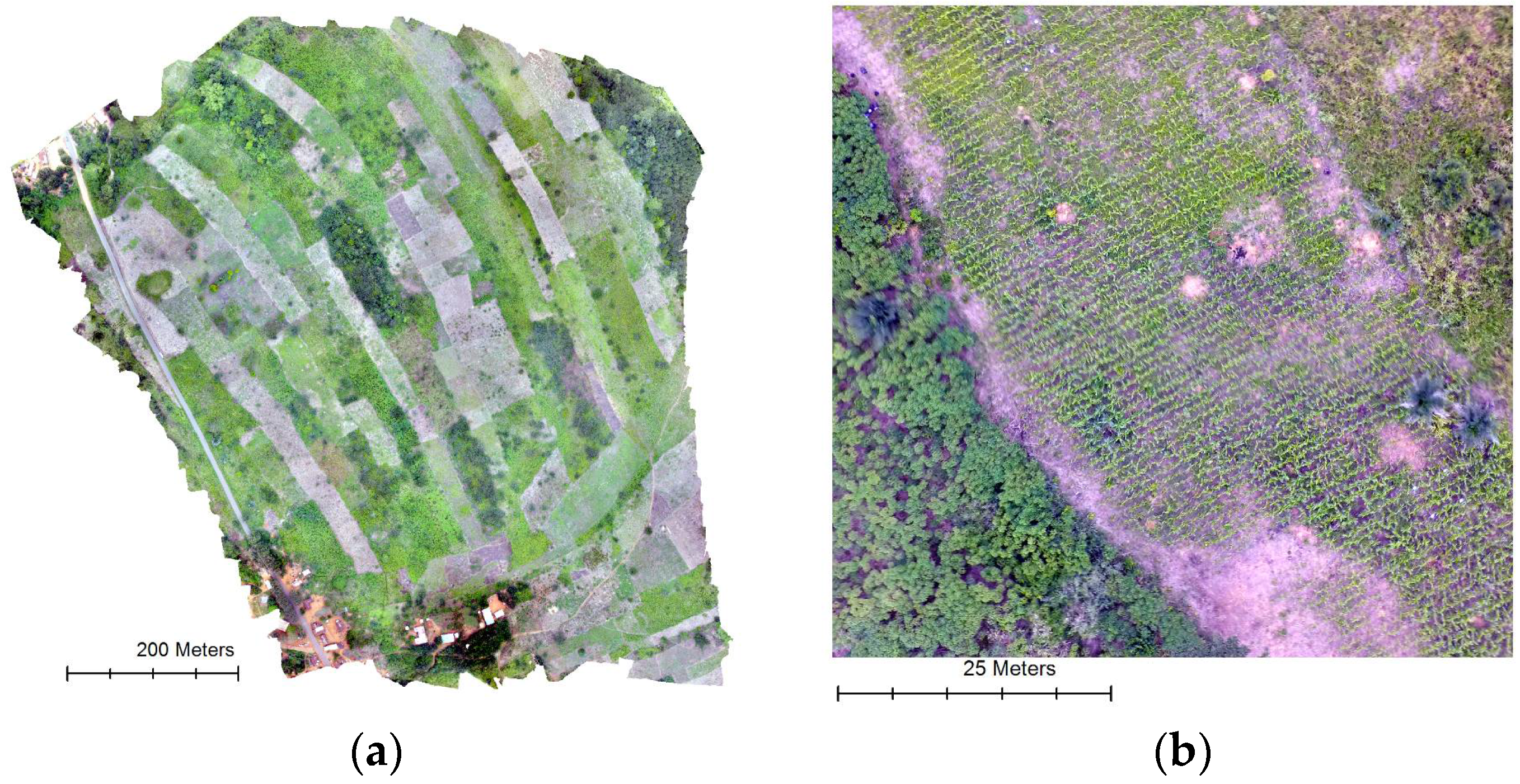 Drones 02 00022 g001