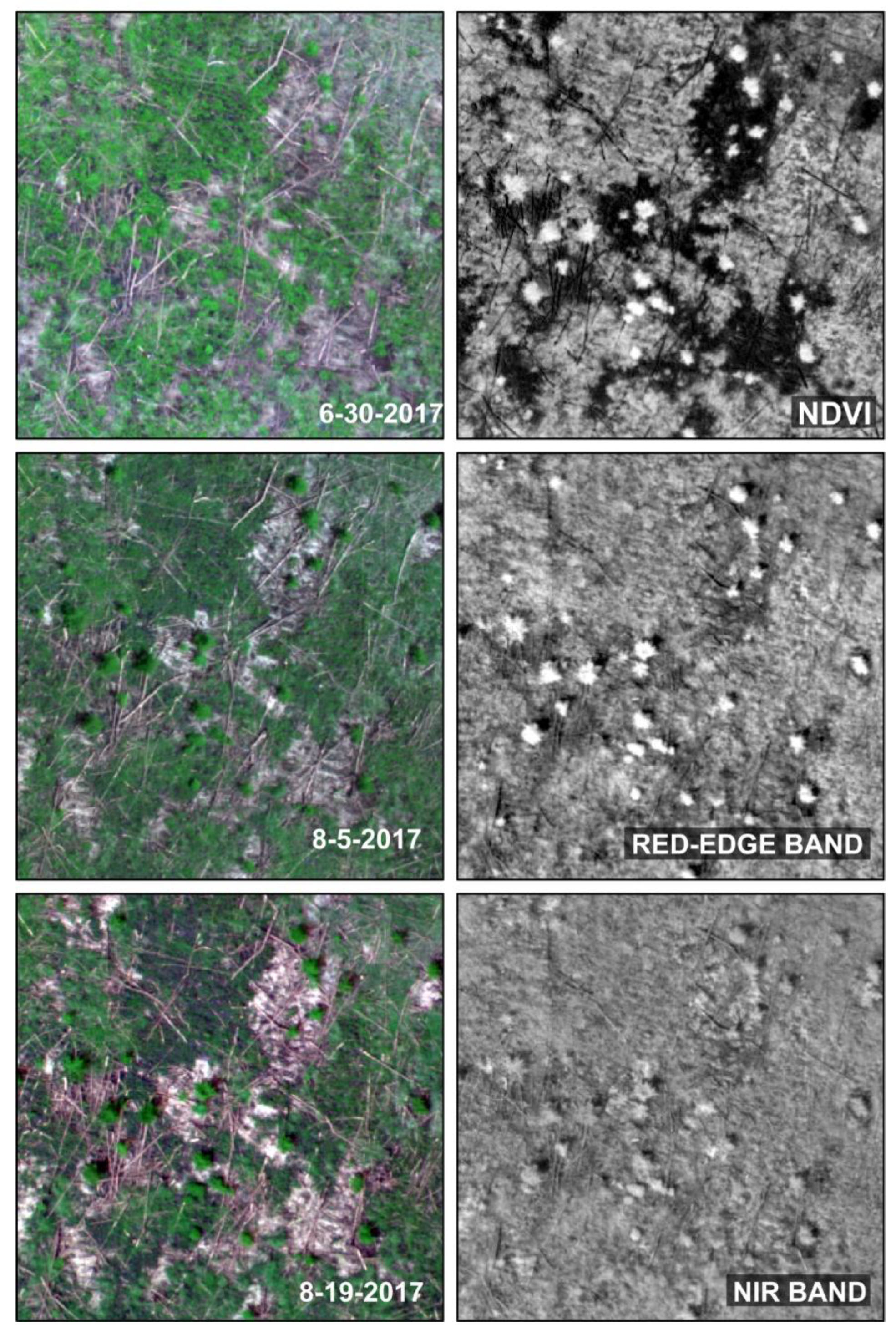 Drones 02 00040 g004
