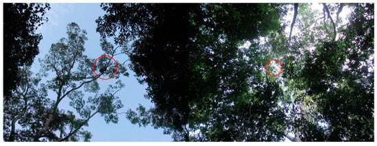 Drones 03 00034 g0a1