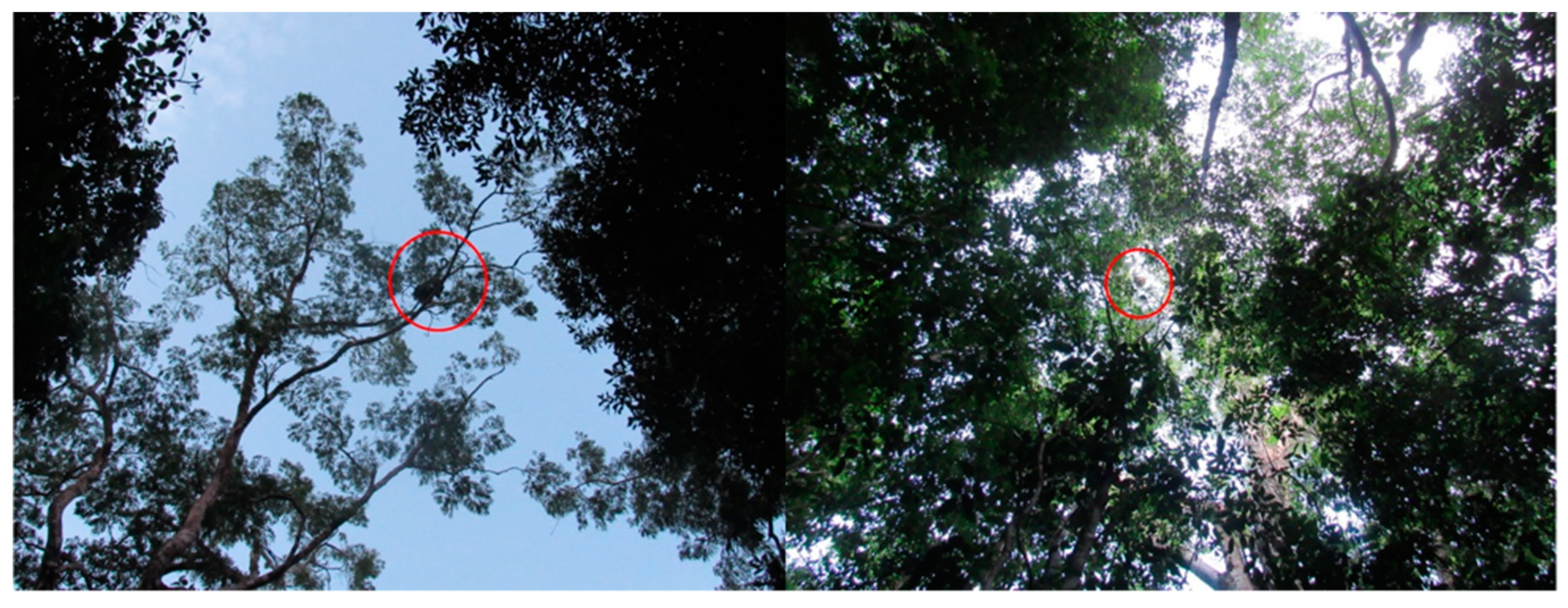 Drones 03 00034 g0a1