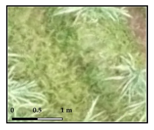 Drones 03 00036 i001