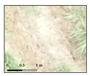 Drones 03 00036 i002