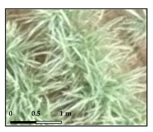 Drones 03 00036 i003