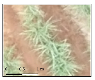 Drones 03 00036 i004