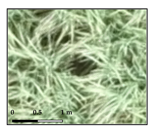 Drones 03 00036 i005