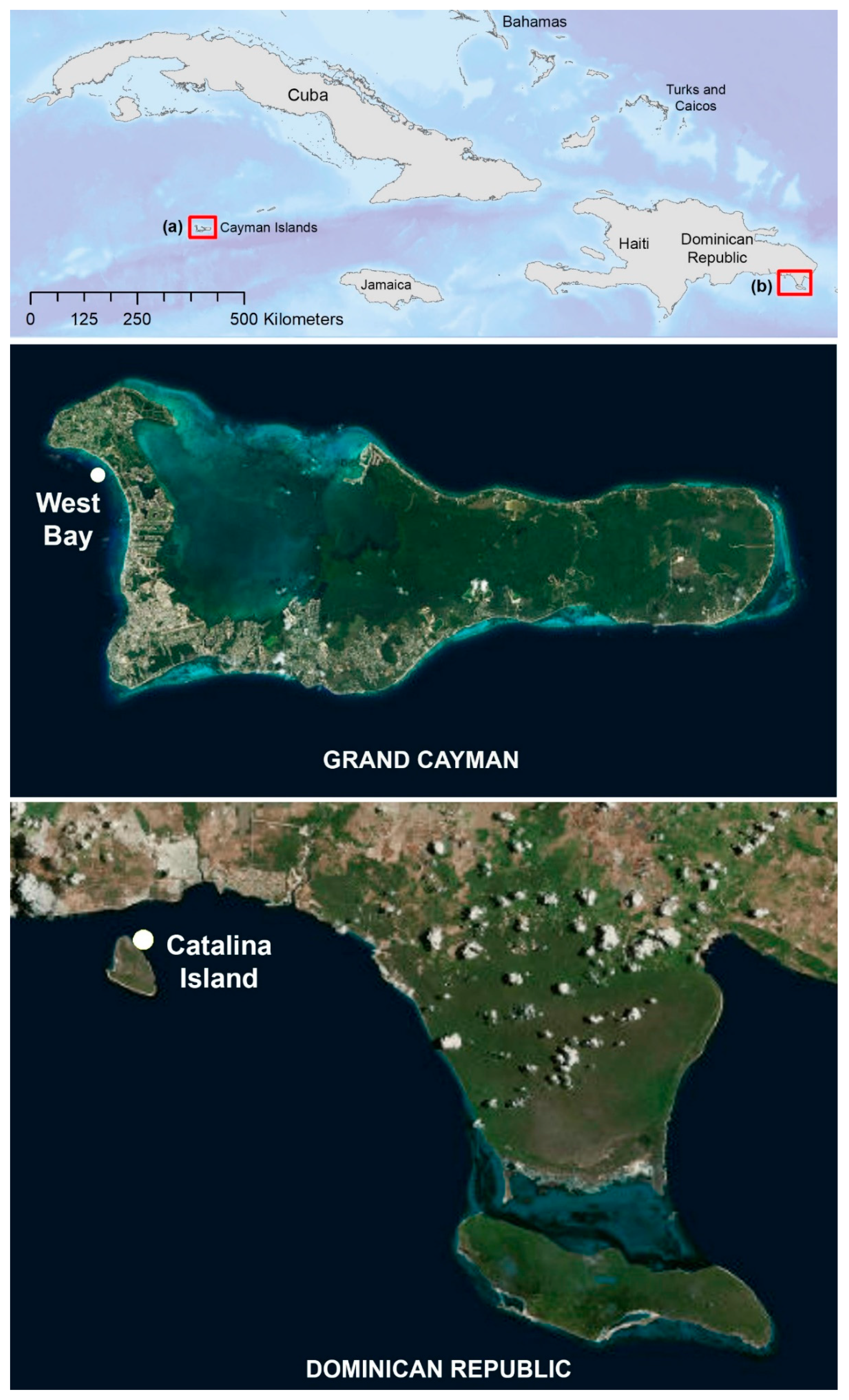 Drones 03 00038 g005