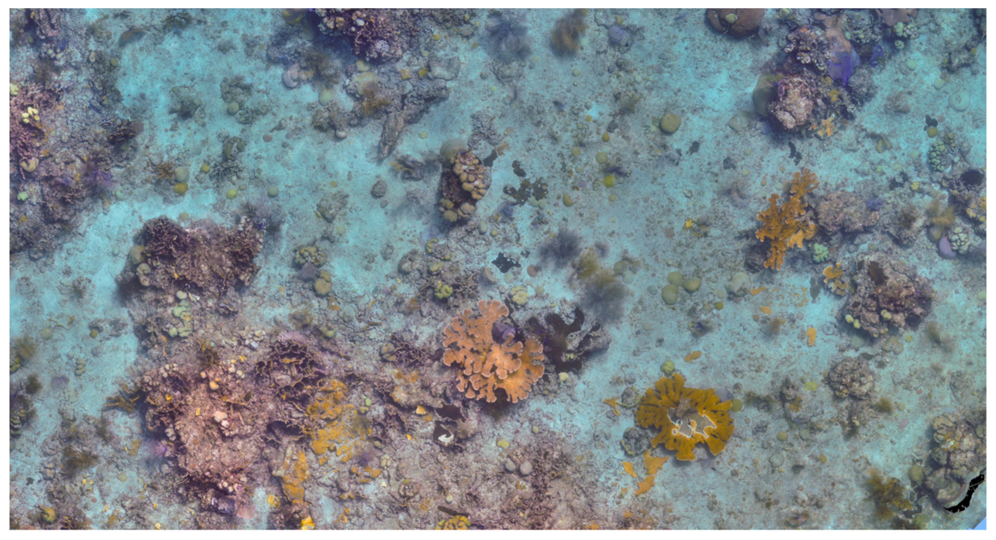 Drones 03 00038 g009