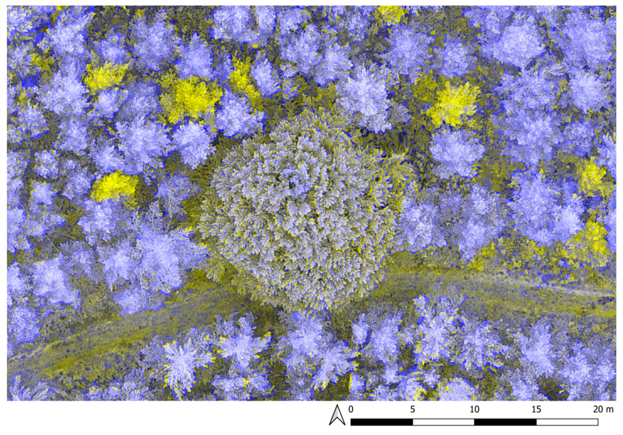 Drones 04 00011 g006