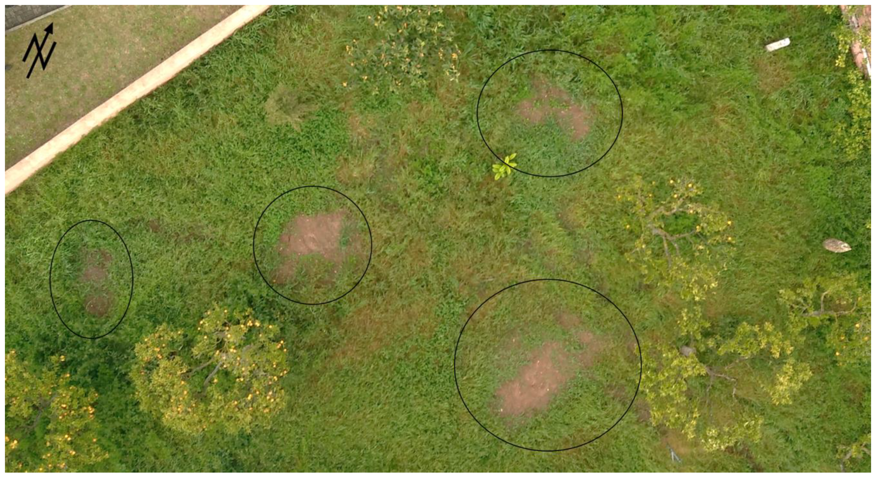 Drones 04 00015 g001