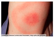 Drones 04 00040 i004