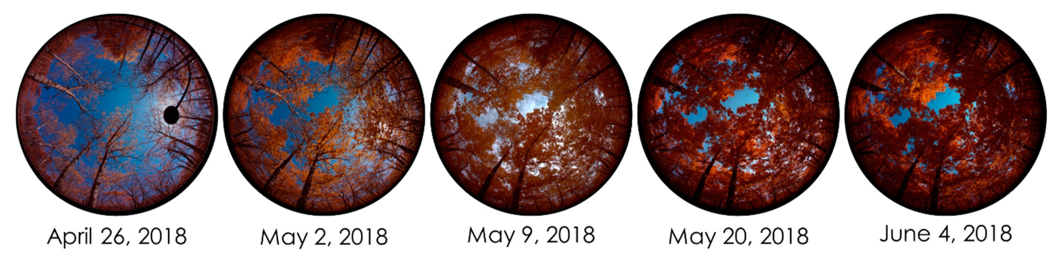 Drones 04 00056 g001