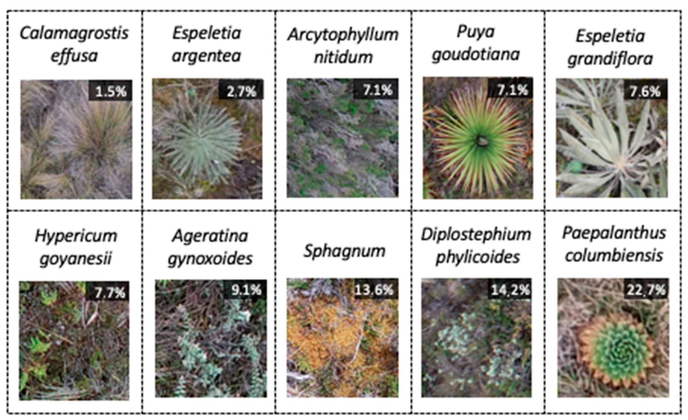 Drones 04 00069 g003