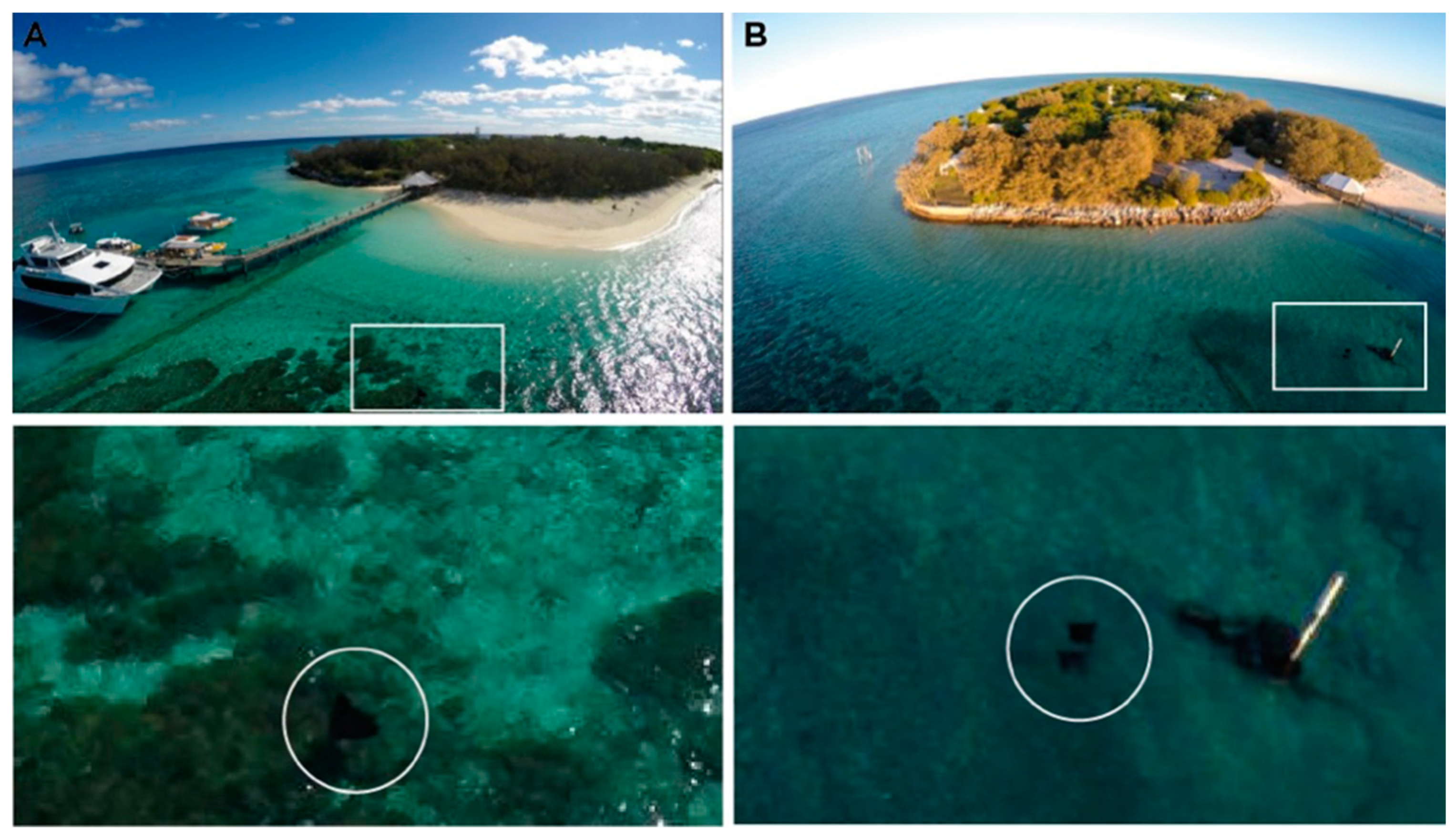 Drones 05 00012 g001