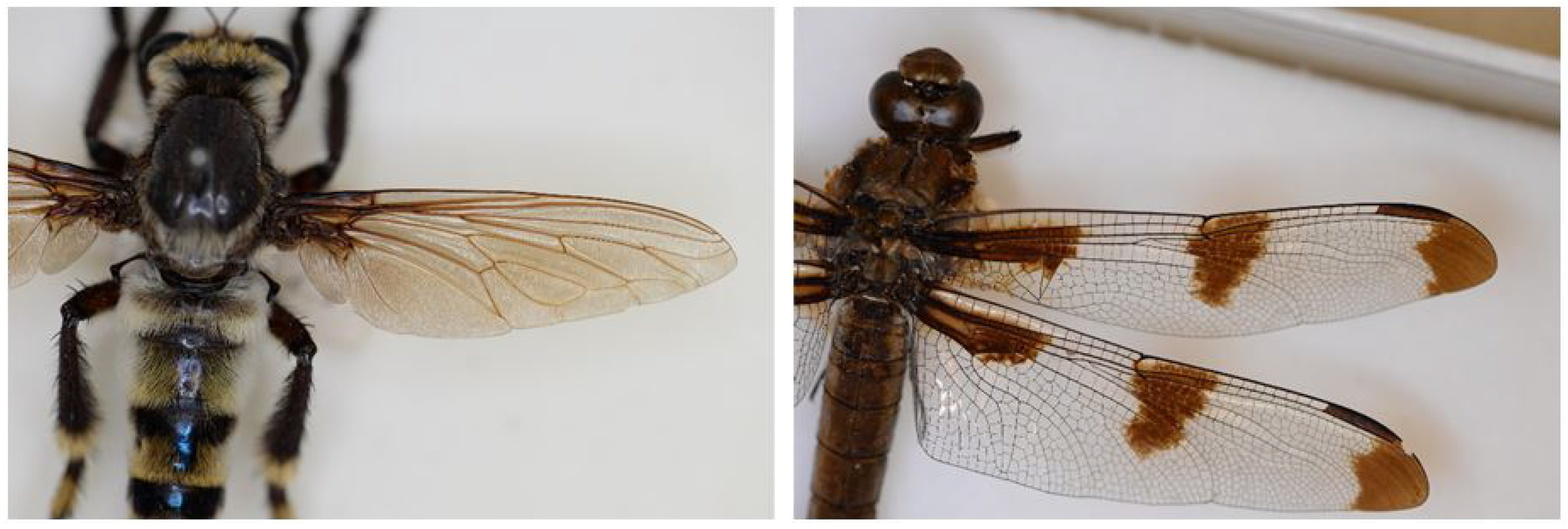 Drones 05 00024 g002