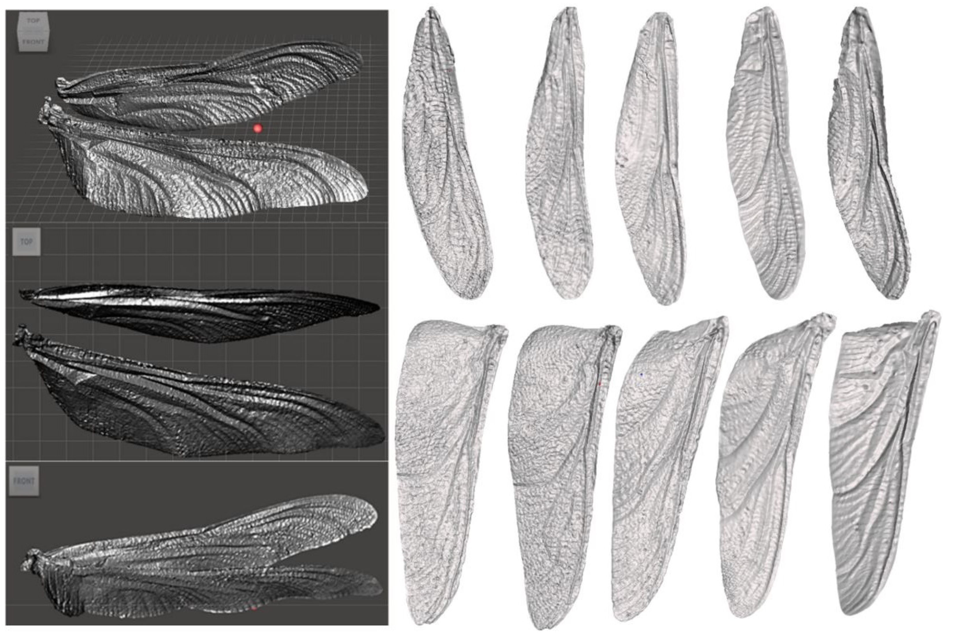 Drones 05 00024 g004