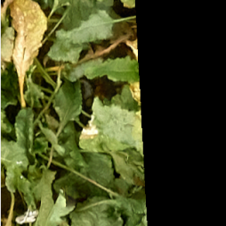 Drones 05 00034 i001 Drones 05 00034 i001