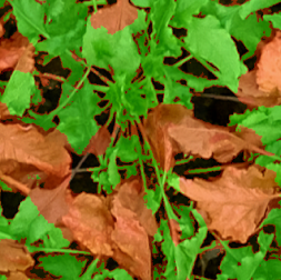 Drones 05 00034 i007 Drones 05 00034 i007