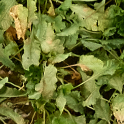 Drones 05 00034 i009 Drones 05 00034 i009