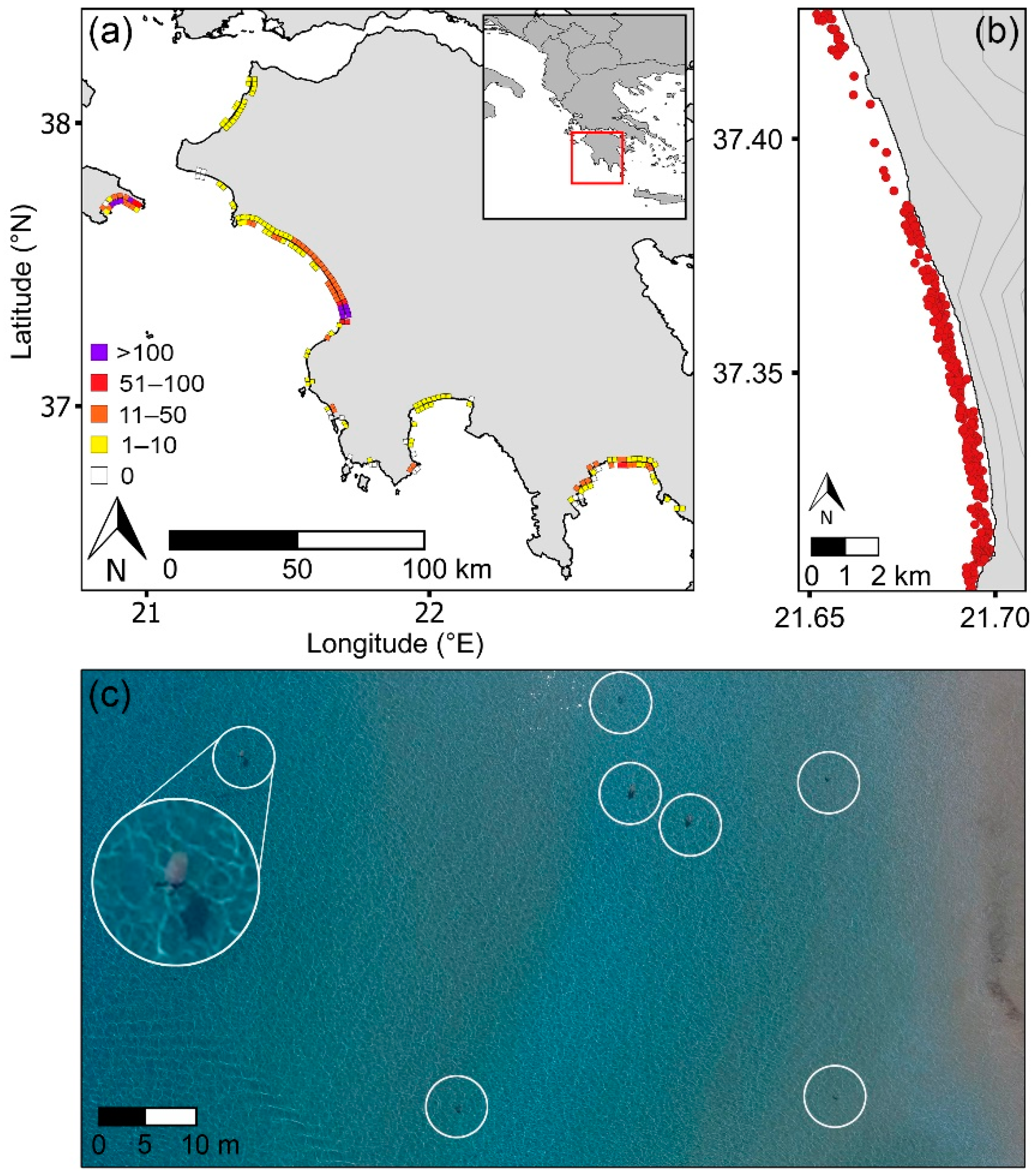 Drones 05 00142 g002