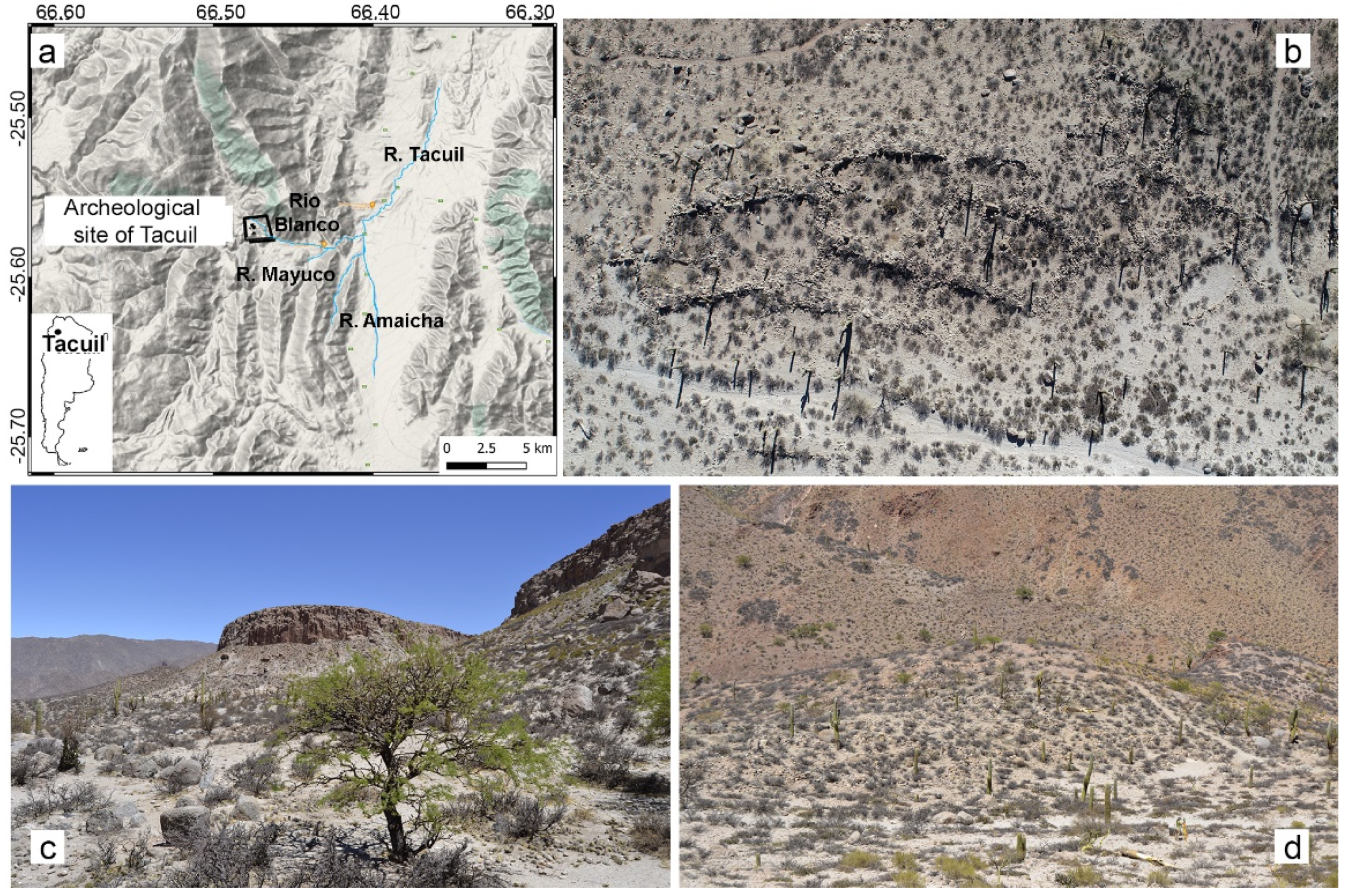 Drones 06 00031 g001