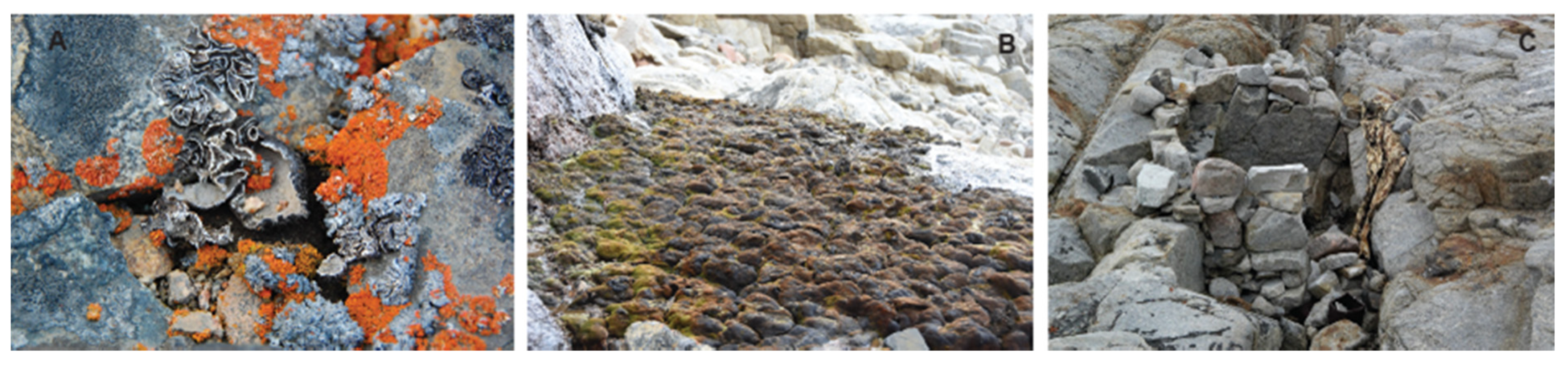 Drones 06 00042 g002