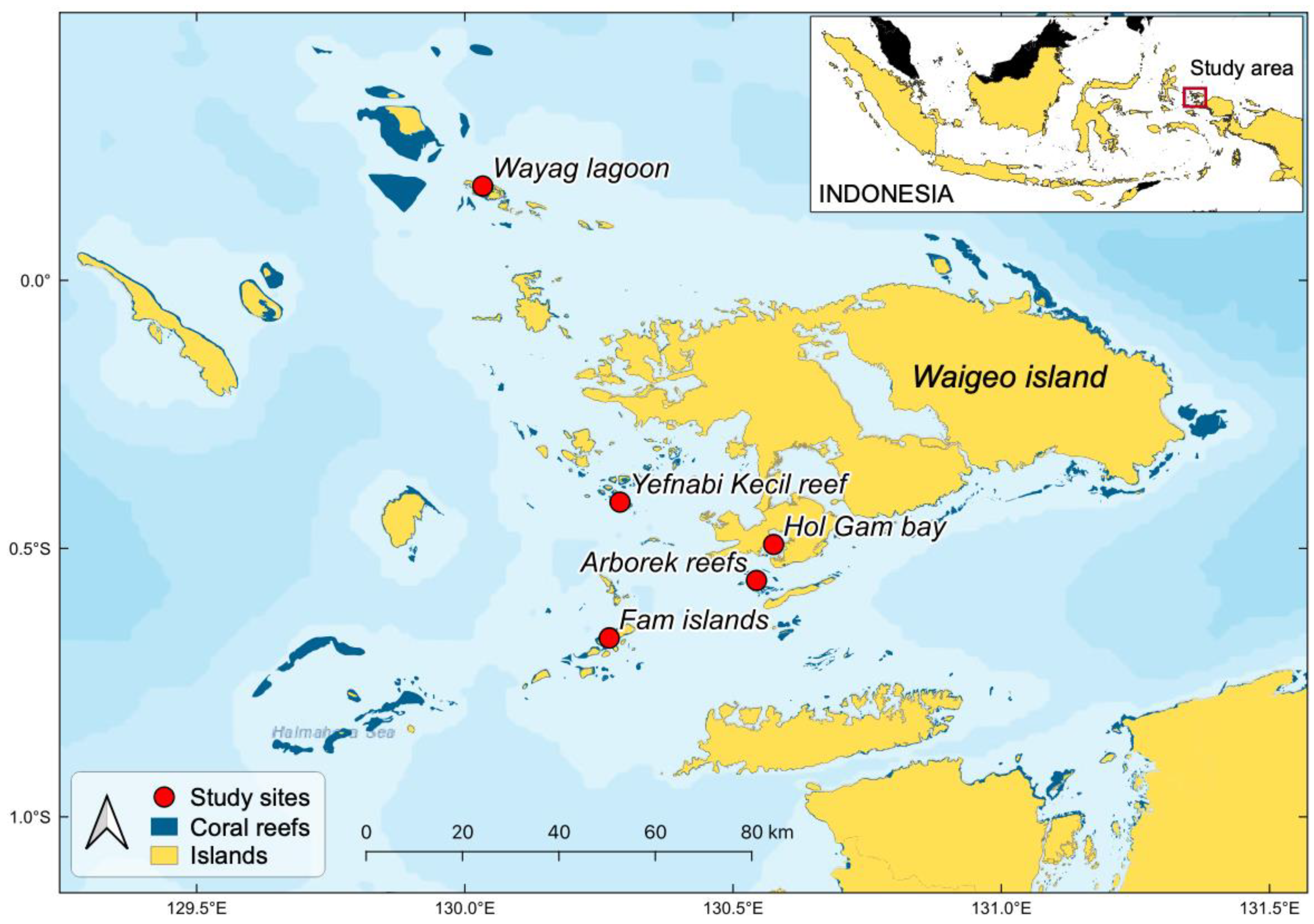Drones 06 00063 g002