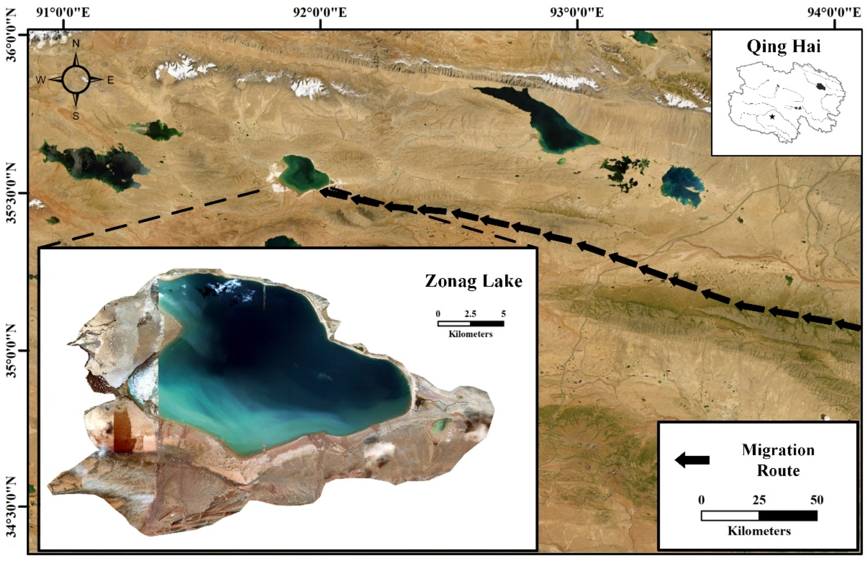 Drones 06 00196 g001