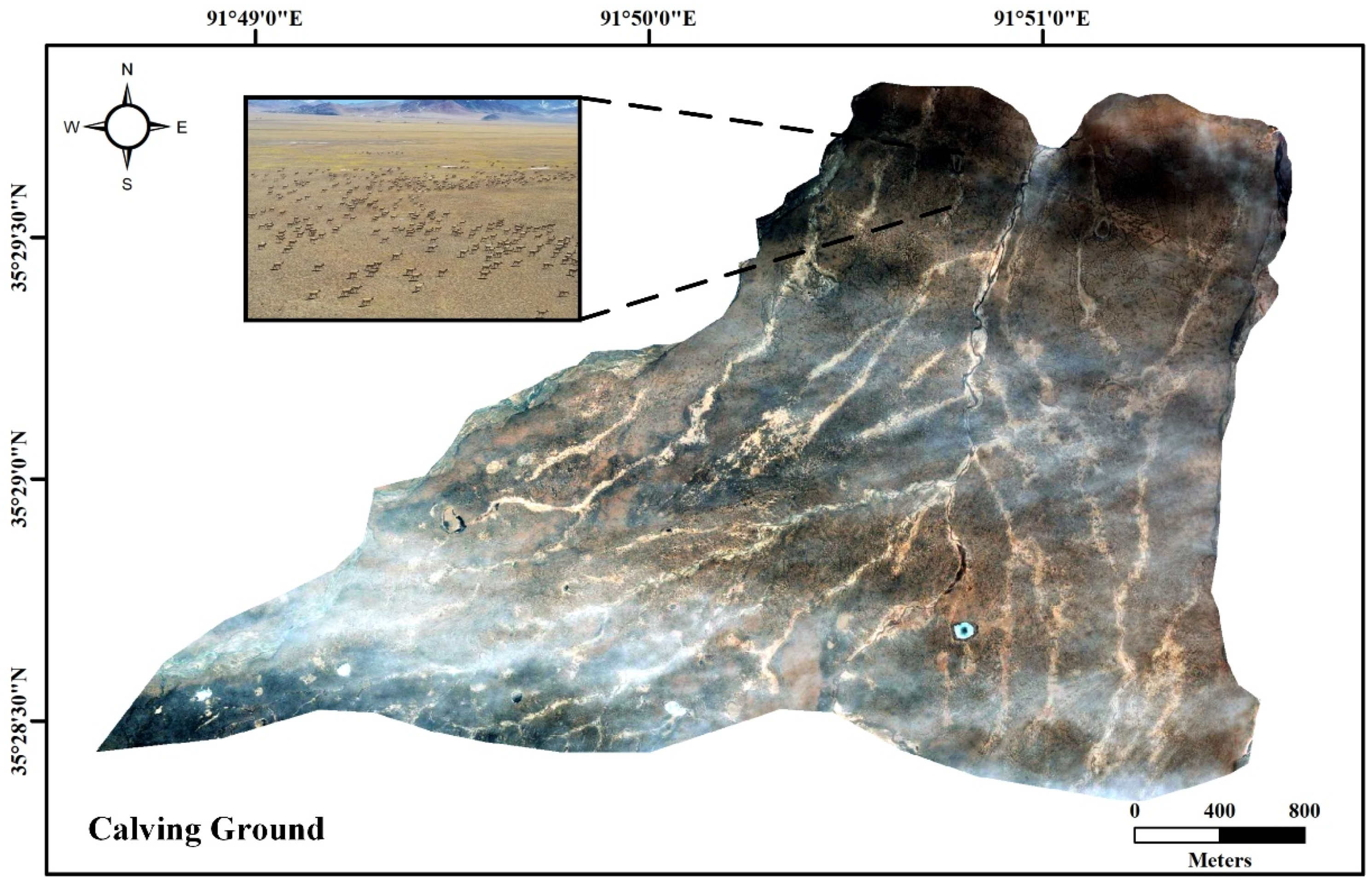 Drones 06 00196 g002