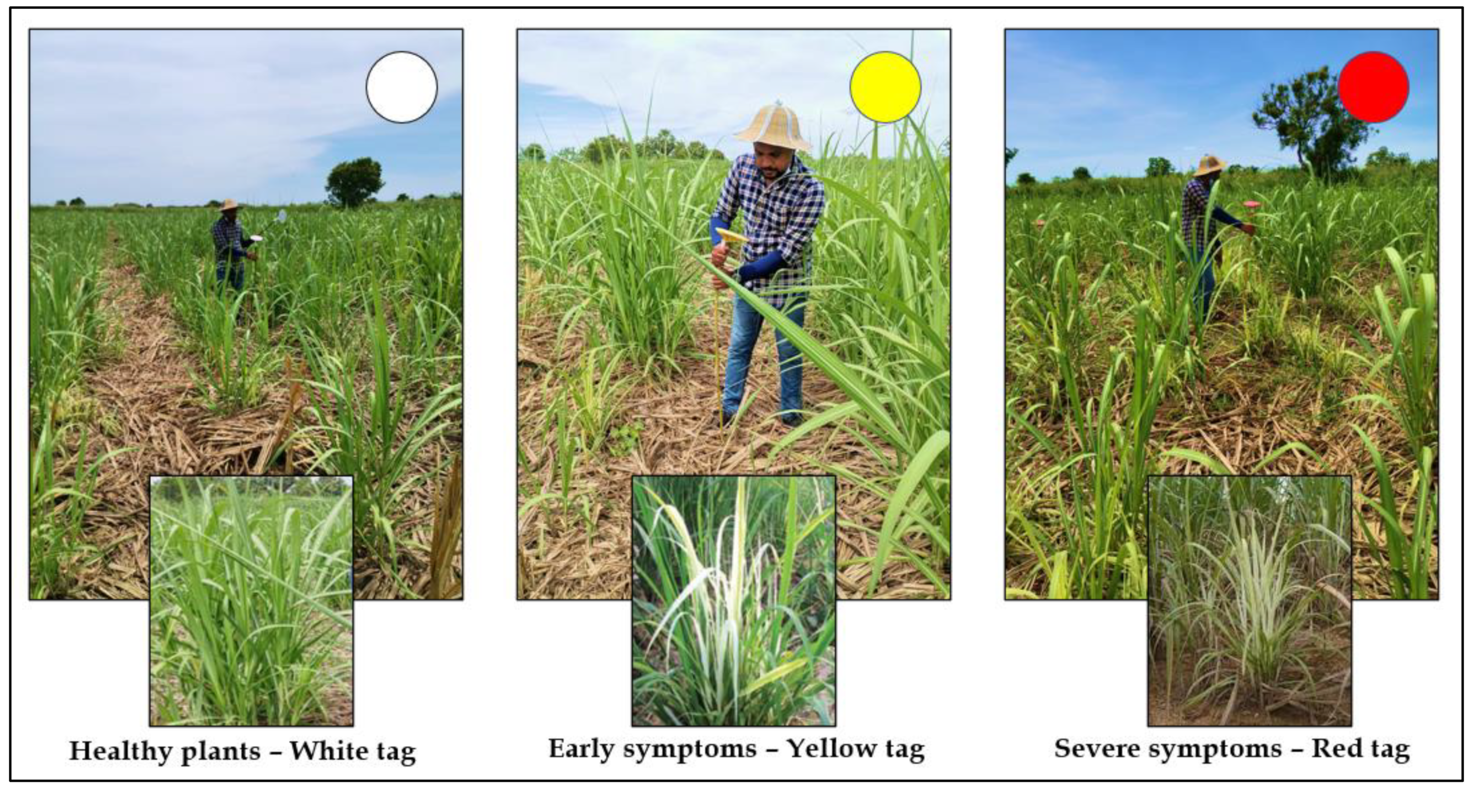 Drones 06 00230 g003