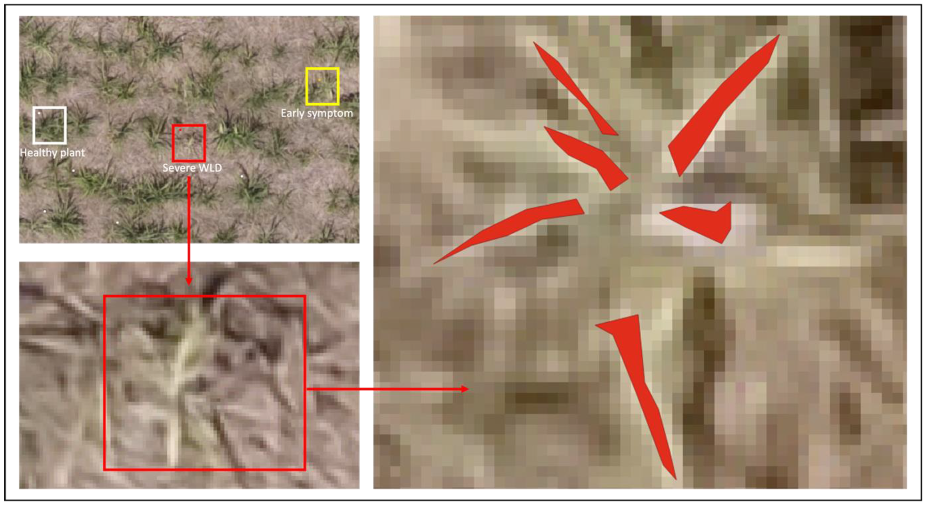 Drones 06 00230 g005