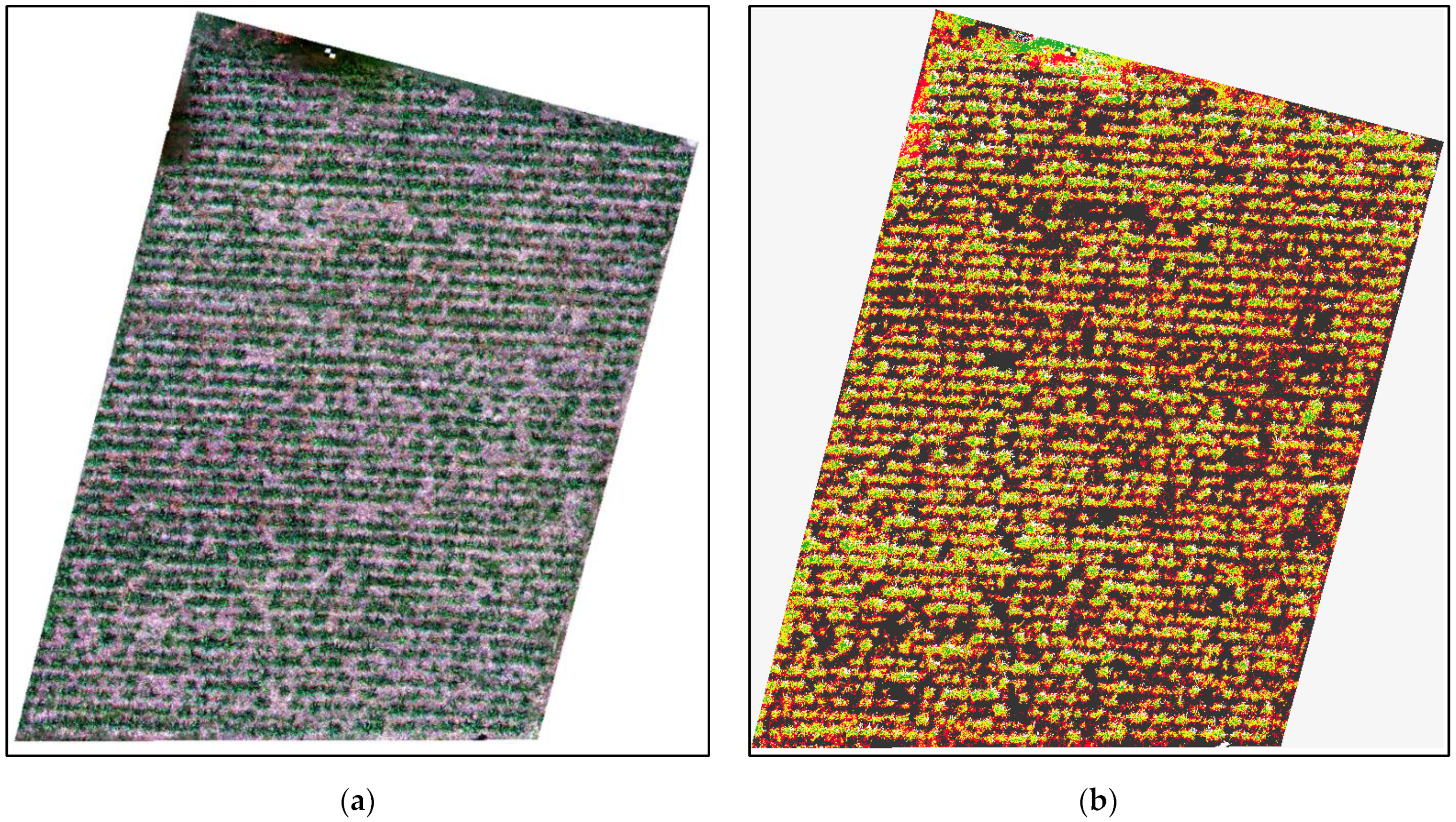 Drones 06 00230 g009