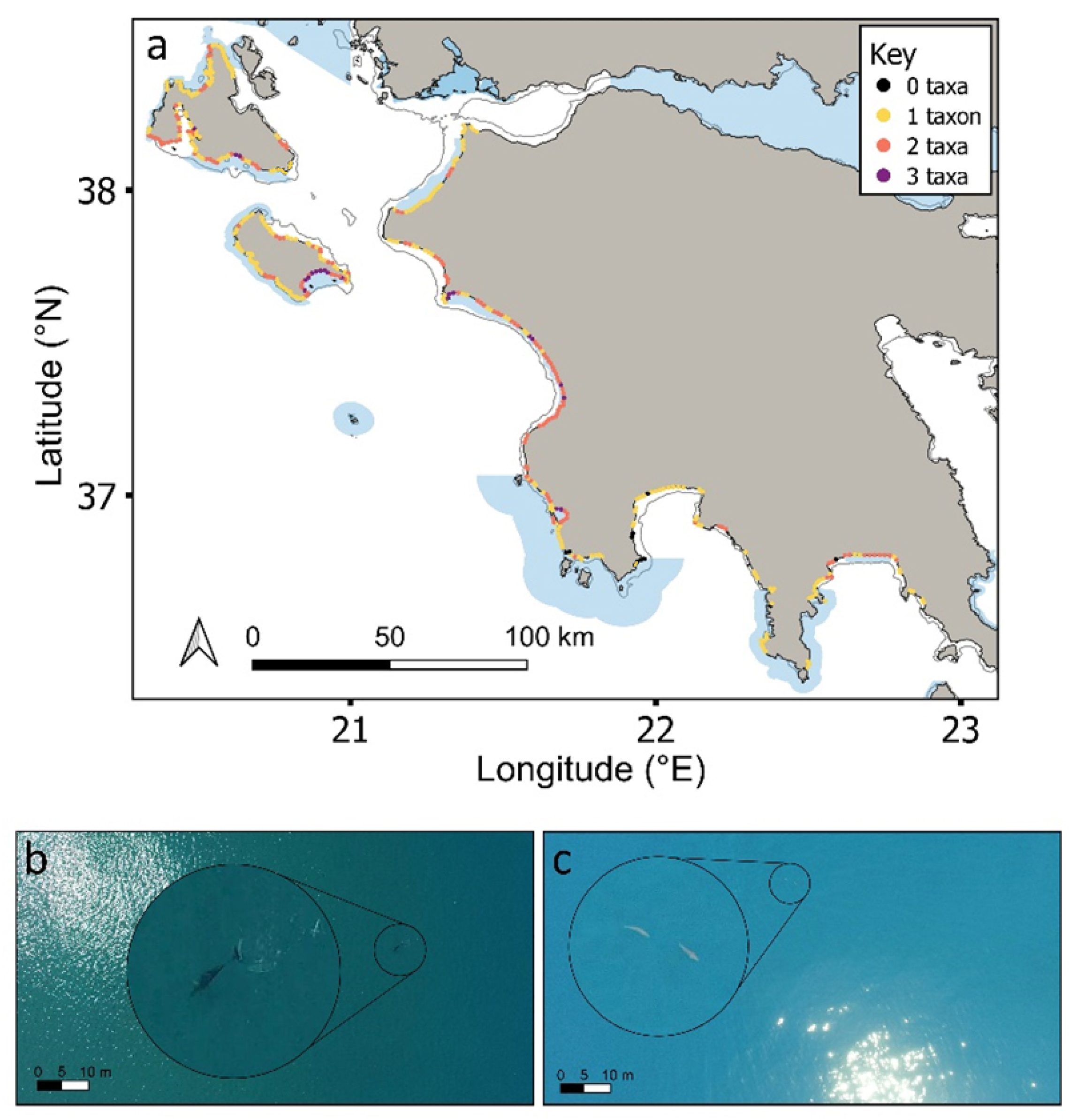 Drones 06 00291 g005