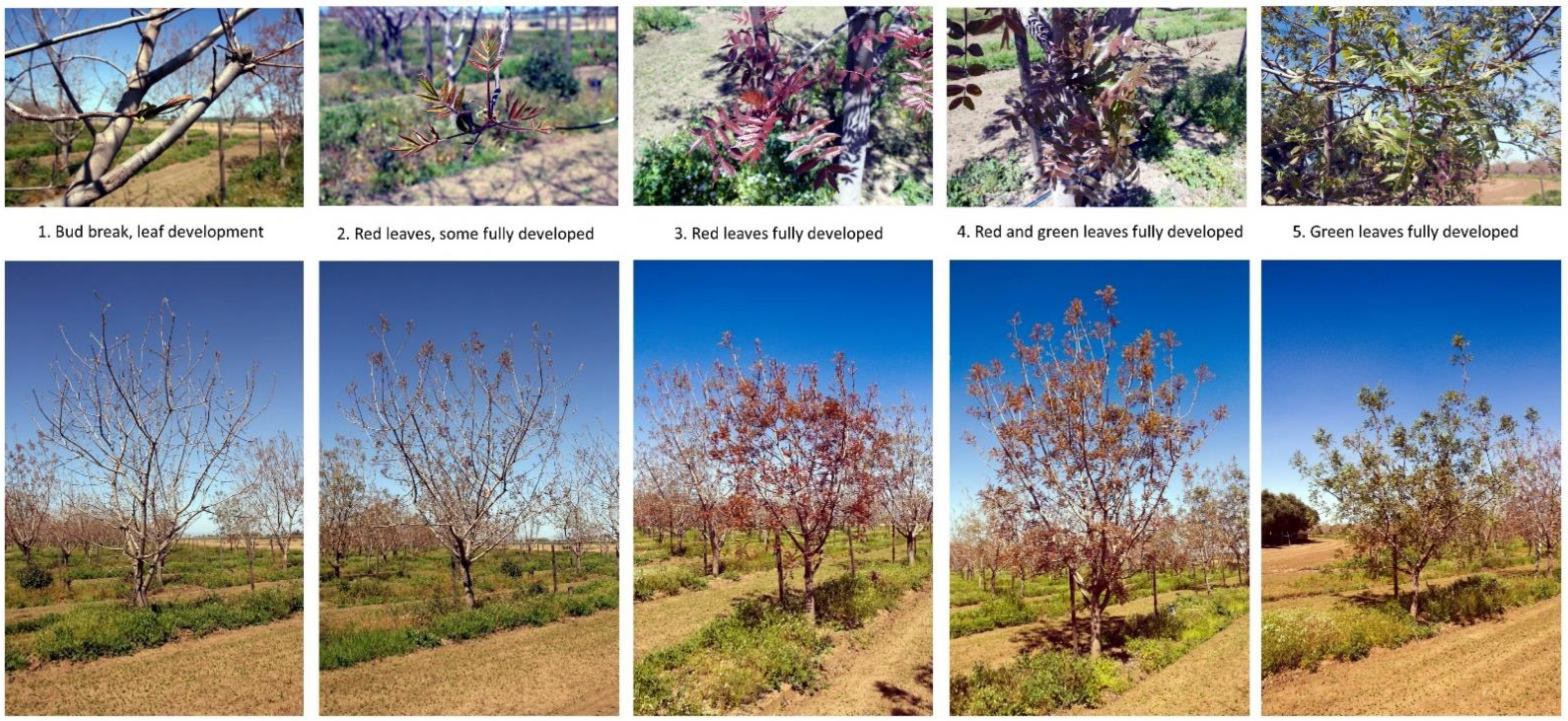 Drones 06 00343 g002