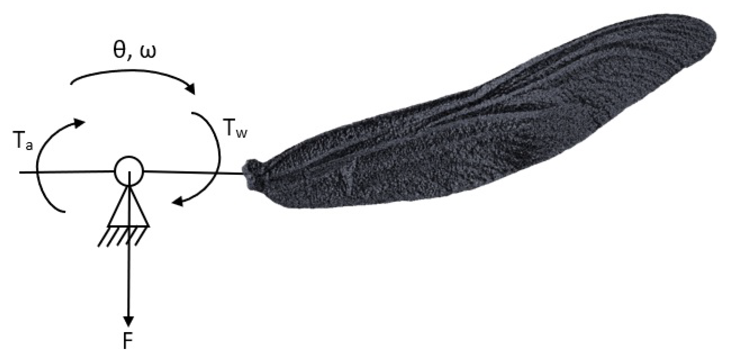 Drones 06 00398 g001