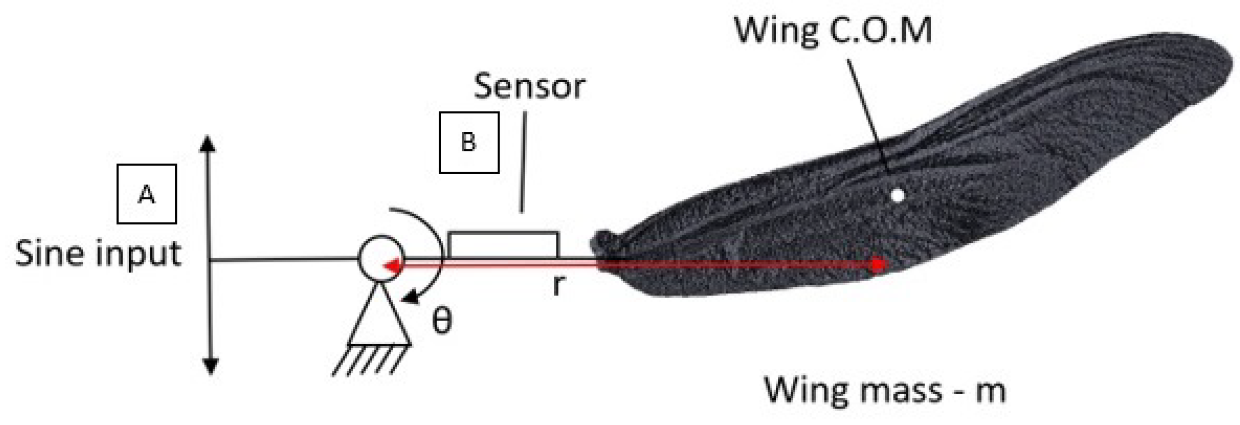 Drones 06 00398 g004