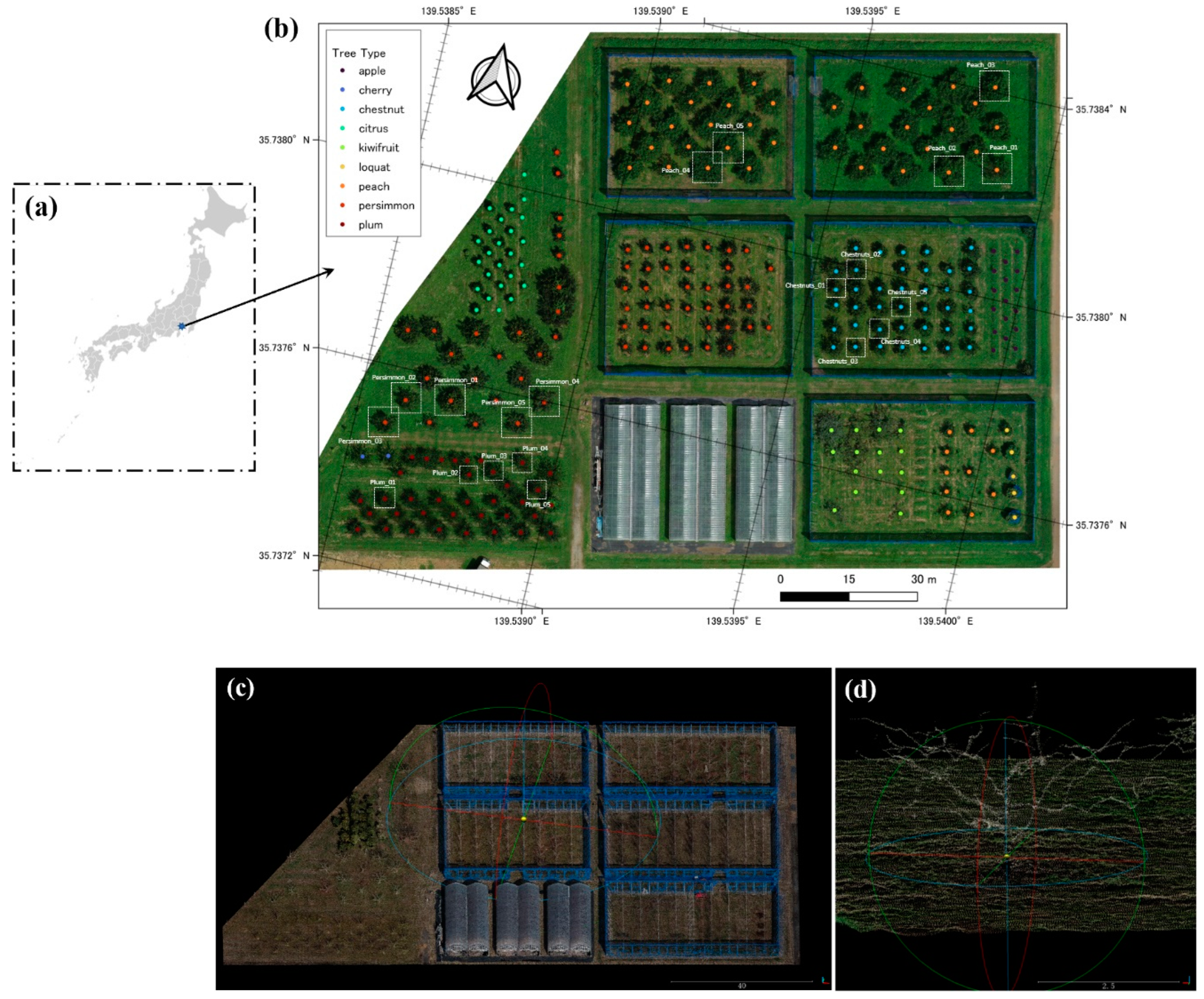 Tree Branch Skeleton Extraction from Drone-Based Photogrammetric Point ...