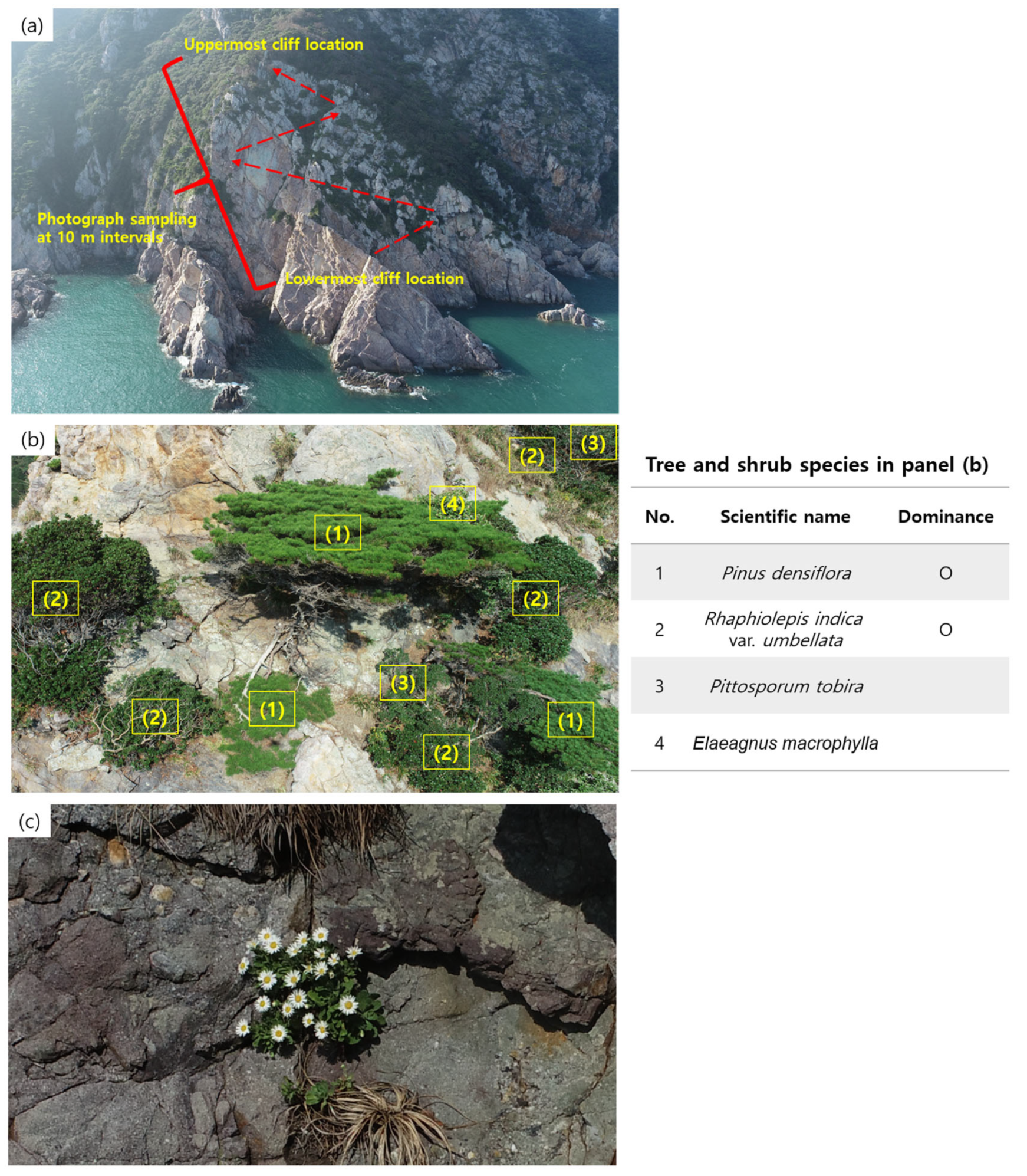 Drones 07 00140 g002