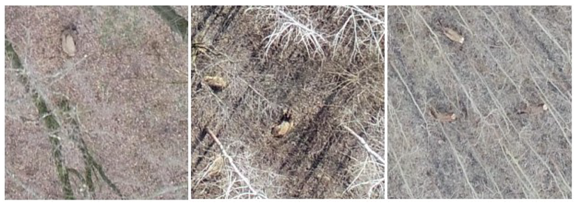 Drones 07 00179 g005 Drones 07 00179 g005