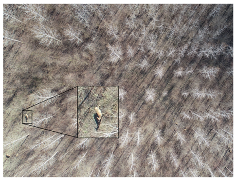 Drones 07 00179 g025 Drones 07 00179 g025