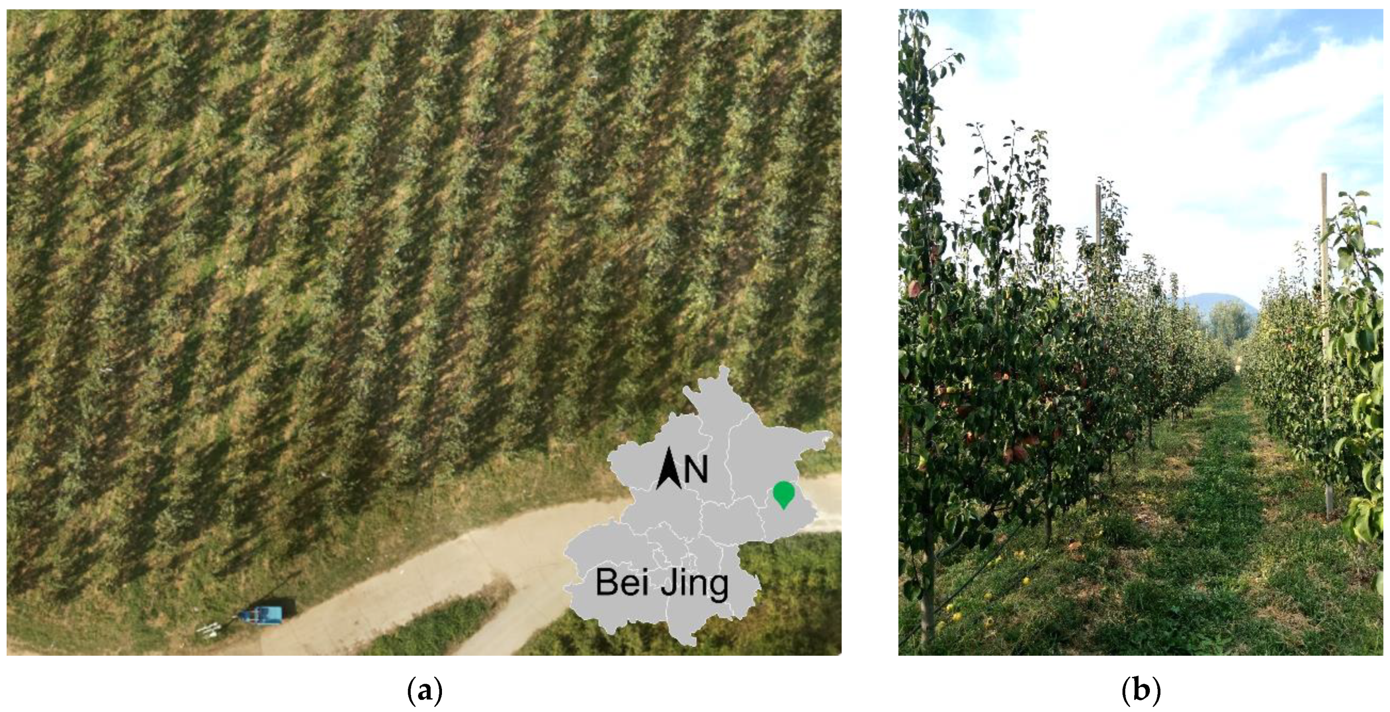 Drones 07 00242 g002 Drones 07 00242 g002