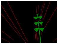 Drones 07 00274 i010