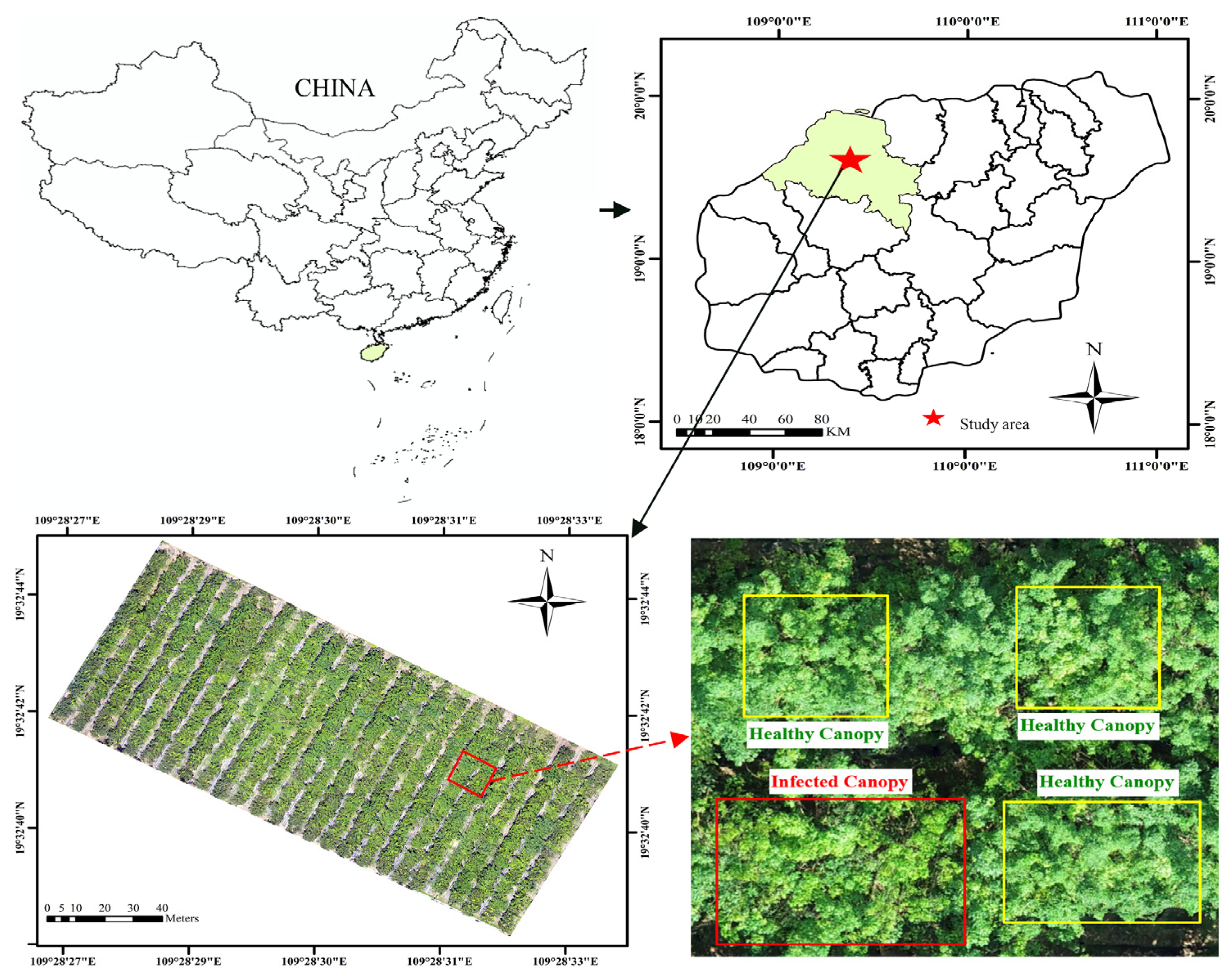 Drones 07 00533 g002