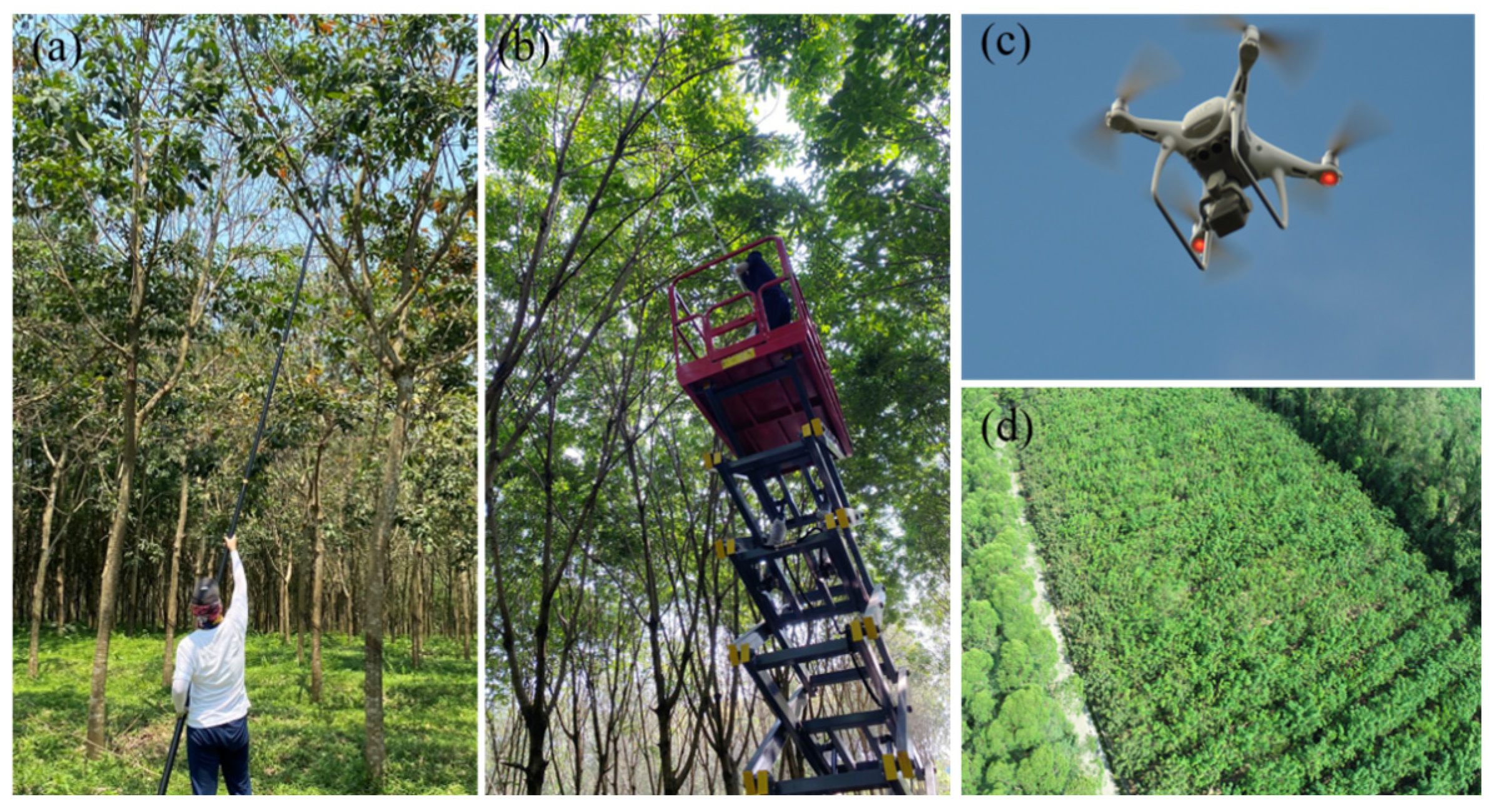 Drones 07 00533 g004