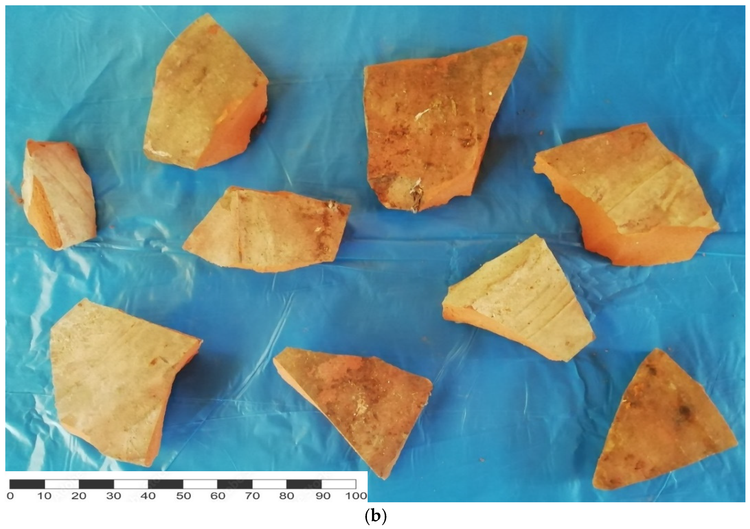 Drones 07 00578 g002b