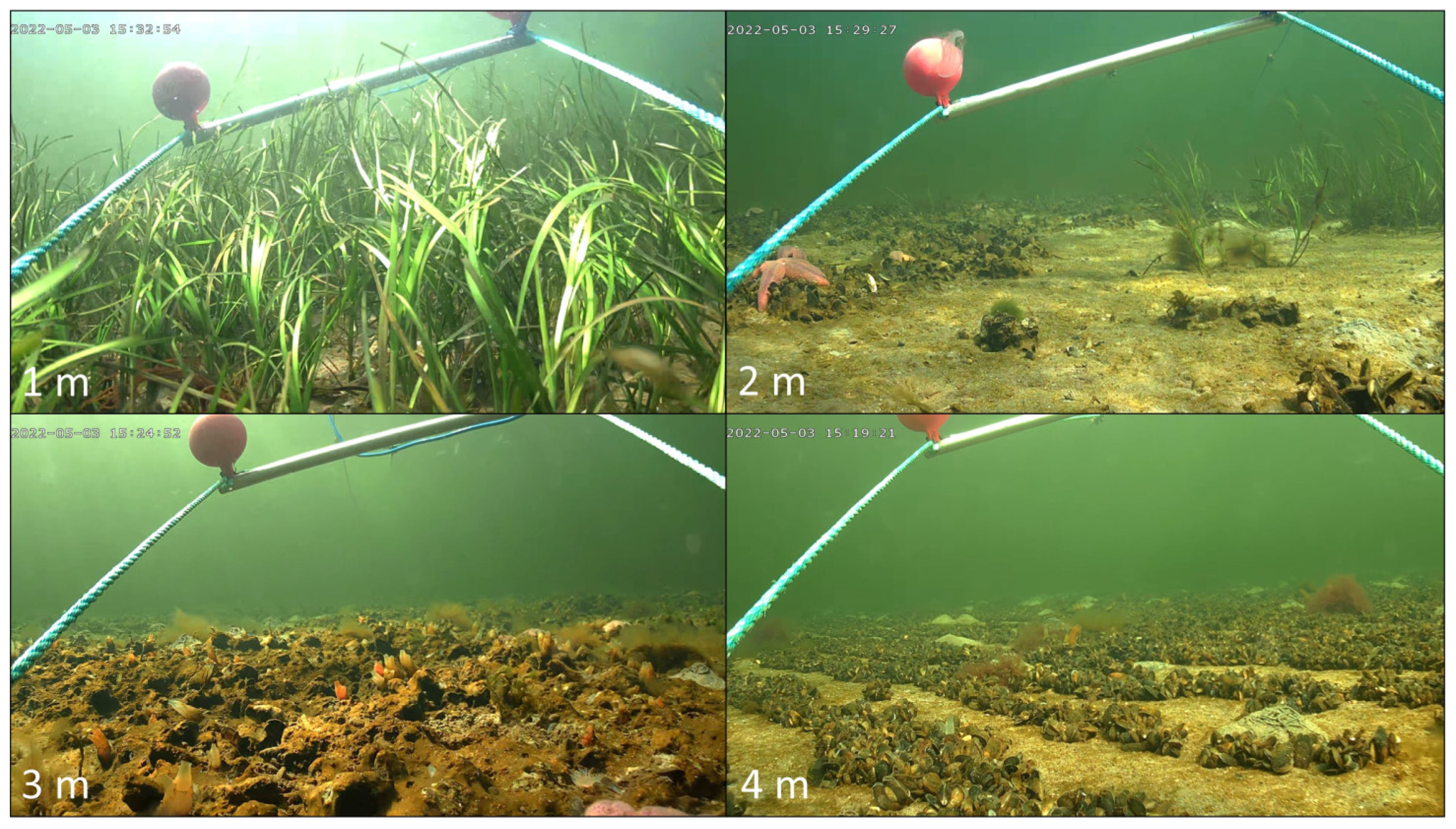 Drones 07 00647 g005